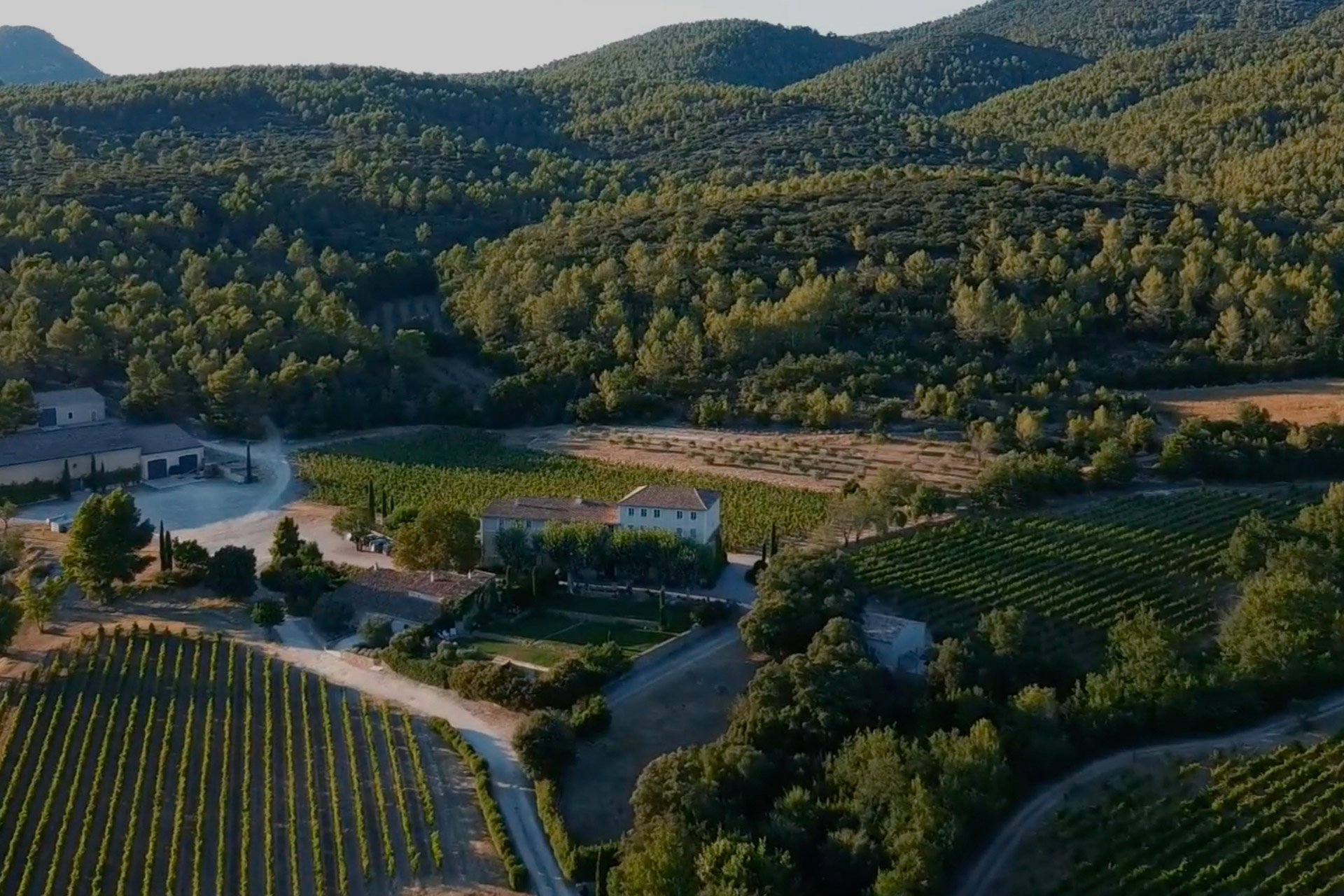 domaine andrieu